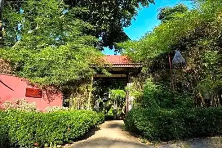 Natural Wing Health Spa & Resort - 50