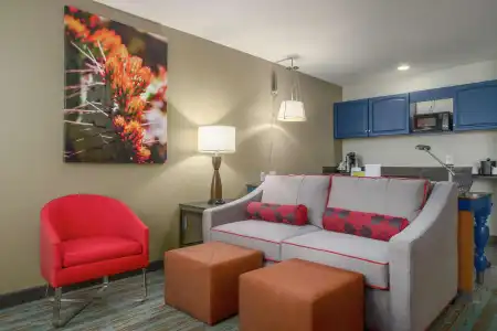Hilton Garden Inn Phoenix Airport - 66
