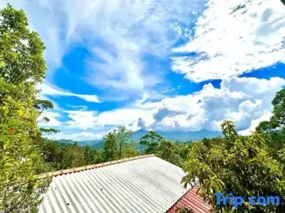 Nature Life Guest Inn - 34