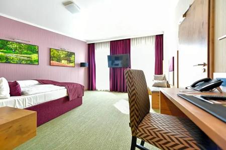 Best Western Plus Park Spa Cottbus - 41