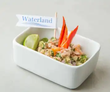 Waterland - 14
