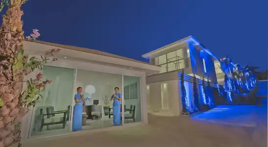 Samui Blue Orchid - 83