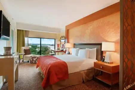 Hilton University of Houston - 34