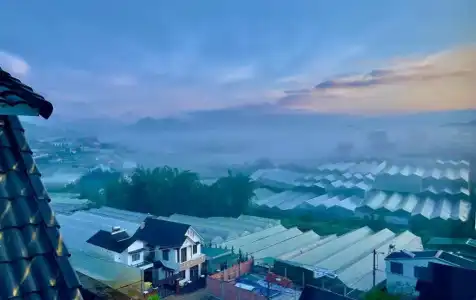 Canary Dalat - 112