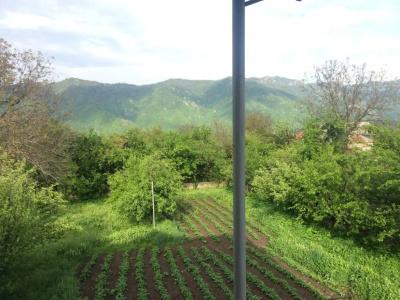 Olya Guest house - 18