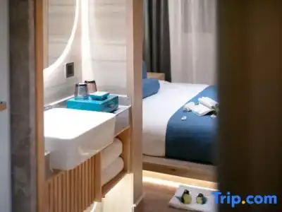 Hôtel Ibis Toulouse Purpan - 59