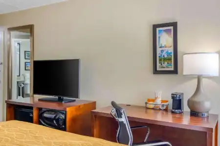 Spark by Hilton Atlanta Airport South College Park - 67