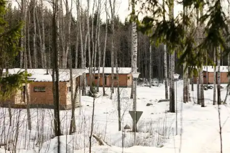 Wooddream - 57