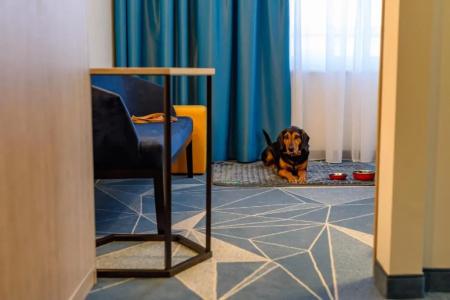 ibis Styles Bad Reichenhall - 44