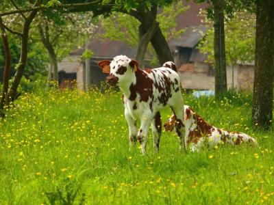 The Originals City, Hôtel le Savoy, Caen - 89
