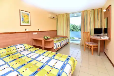 Panorama - 12