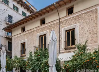 Soller Plaza Boutique - 85