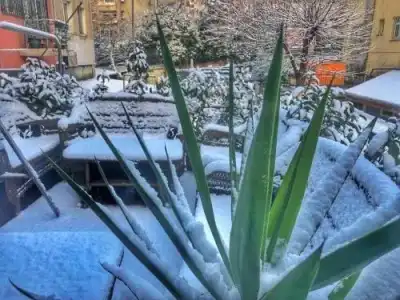 Central Flat Near Metrobus and Coast in Kadikoy - 10