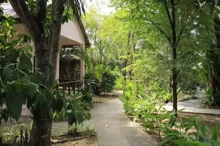 Bird of Paradise Bungalows - 40