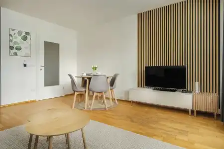 Business & Family Ambiente Apartments - 237