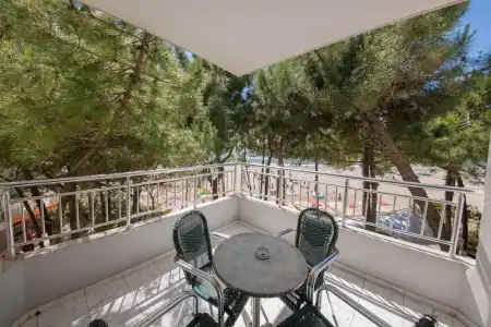 Andi - 6