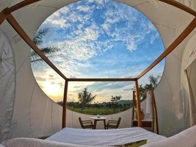 Green Land Bubble Glamping - 34