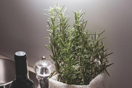 Residenza Ducato - 39