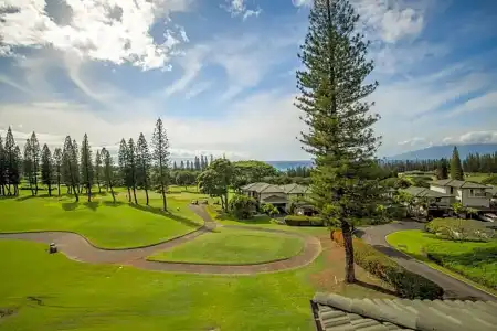 Kapalua Villas Maui - 213