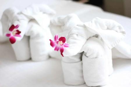 Orchid - 25