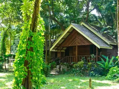 Khao Sok Riverside Cottage - 19