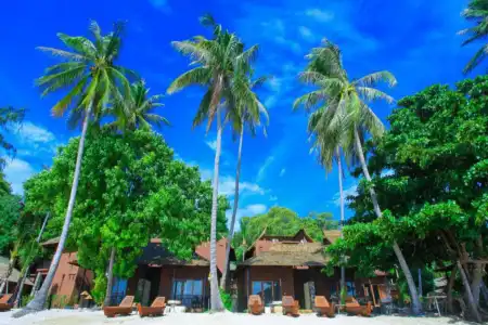 Koh Tao Beach Club - 17