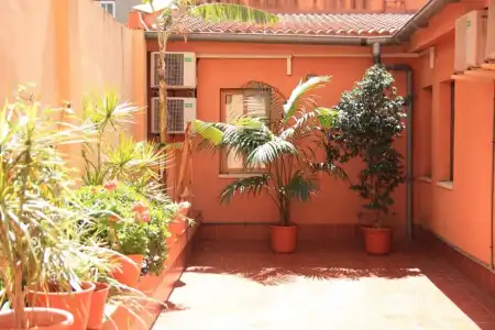 Hostal Baler - 14