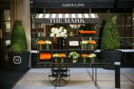 The Mark - 12