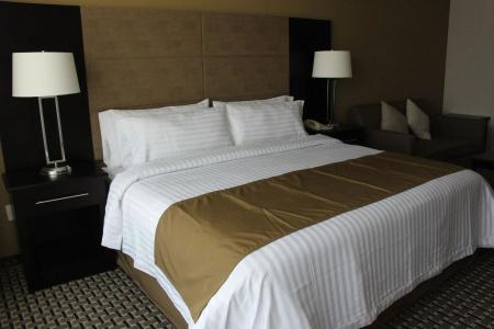 Holiday Inn México Santa Fe by IHG - 4