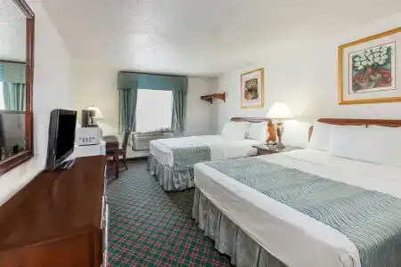 Super 8 by Wyndham Irving DFW Airport/South - 6
