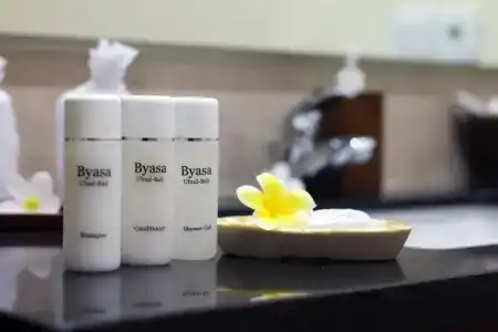 Byasa Ubud - 29