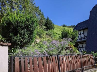 Pension Winzerhaus - 12