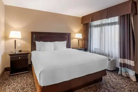 Best Western Plus Las Vegas South Henderson - 37