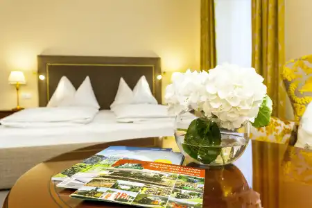 ParkGraz - Traditional Luxury - 20