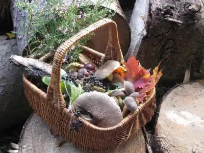 Pension Waldhäusl - 24