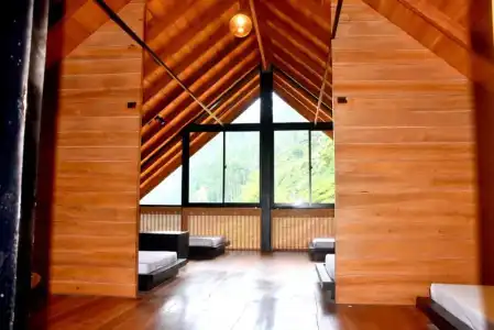 Manuka Hillwood - 7