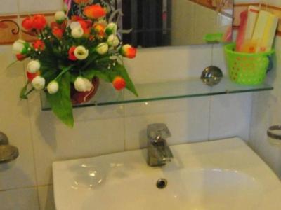 Hanoi Rose - 6