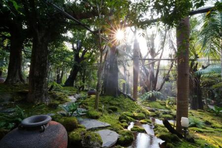 Treescape Resort Chiangmai (SHA Extra Plus) - 3
