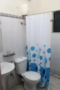 Nest International - 10