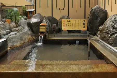 Kirishima Onsen Oyado Hana Mizuki - 12