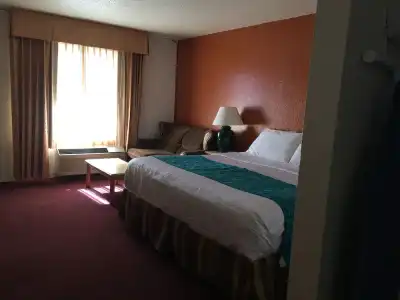 Pine Tree Inn - 19