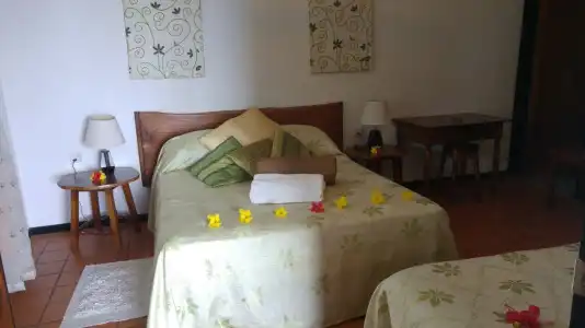 Mango Lodge - 3