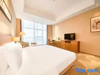 Metropolo Shanghai Changzhong Road - 36