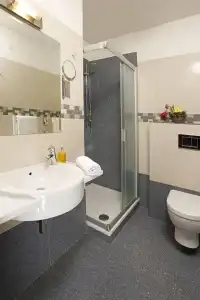 Spa Villa Smetana - 8