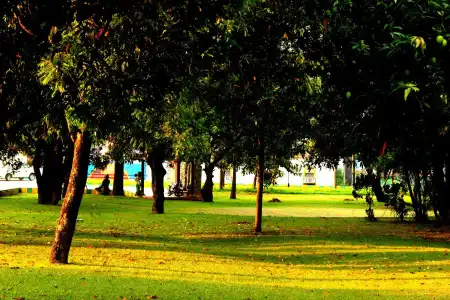 VGP Golden Beach Resort - 1