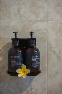 Ubud Aura Wellness Sanctuary - 17