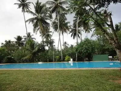Polhena Coral Reef Resort - 11