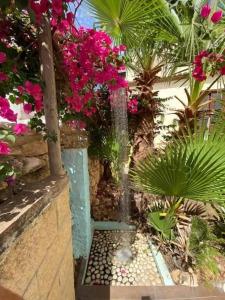 Boutique Hostal Lorca - 26