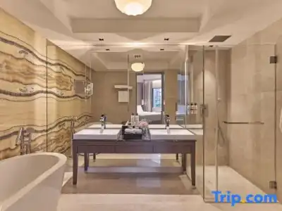 Pullman Singapore Orchard - 107
