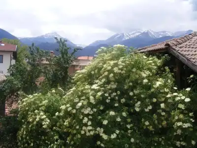 Todeva House - 25
